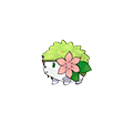 Shaymin Land