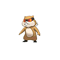 Patrat