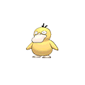 Psyduck