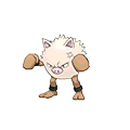 Primeape