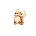 Growlithe