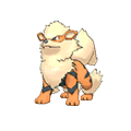 Arcanine