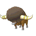 Bouffalant