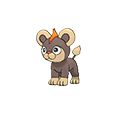 Litleo