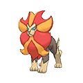 Pyroar Male