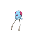 Tentacool