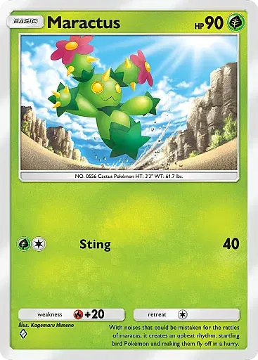 Maractus