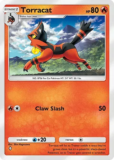 Torracat