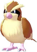 Pidgey