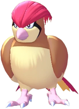 Pidgeotto