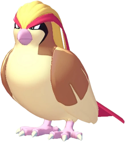 Pidgeot