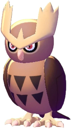 Noctowl