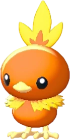 Torchic