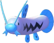 Barboach