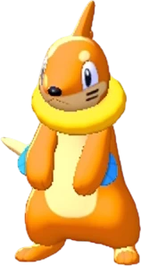 Buizel