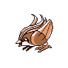 Pidgeot