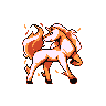Rapidash