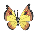 Vivillon Continental