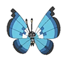Vivillon Marine