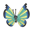 Vivillon Savanna