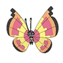 Vivillon Sun