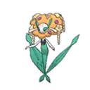 Florges Orange