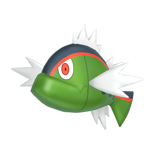Red-Striped Basculin