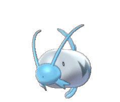 Barboach