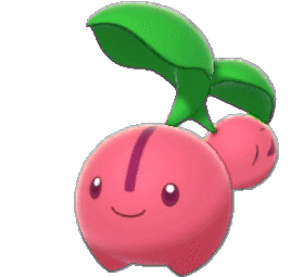 Cherubi
