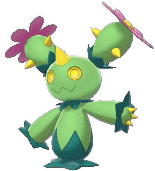 Maractus