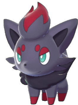 Zorua