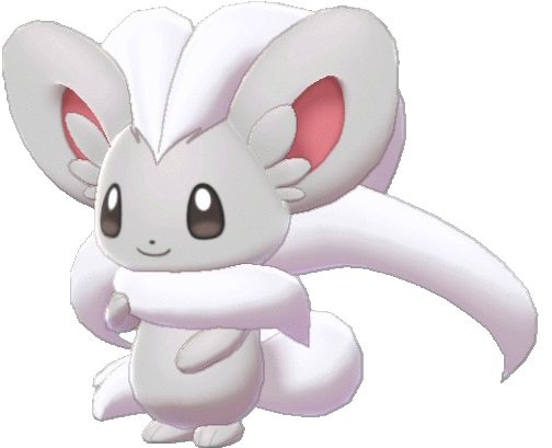 Cinccino
