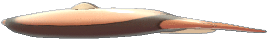 Stunfisk