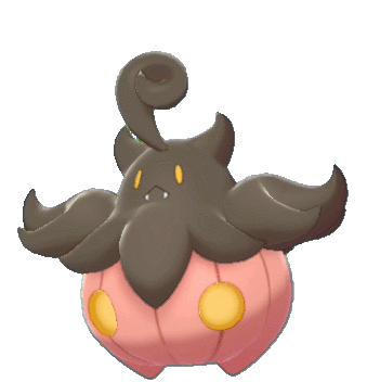 Pumpkaboo Large