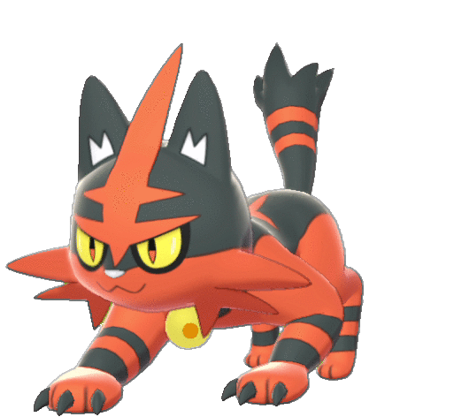 Torracat