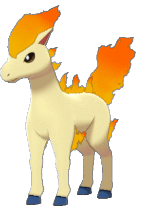 Ponyta
