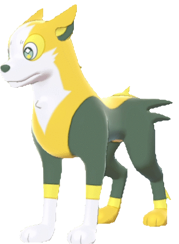 Boltund