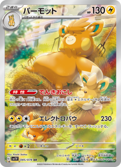 ★テドマ★ Pawmot - Japanese Pokémon TCG Card | Dittobase