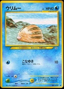 Swinub