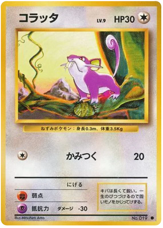 Pokémon Card PSA ポケモンカード　コラッタ　Rattata Rattata - Japanese Pokémon TCG Card | Dittobase