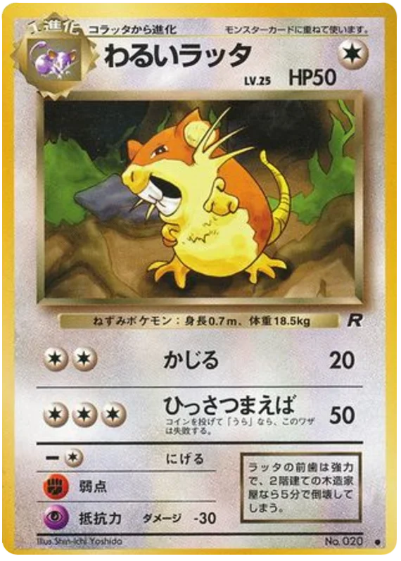Rattta　コラッタ ●シャドウレス　Shadowless　ウィザーズ　② Raticate - Japanese Pokémon TCG Card | Dittobase