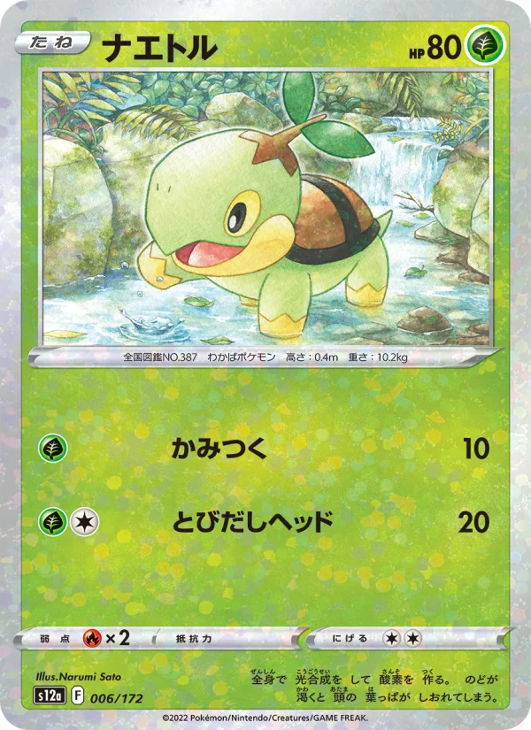 Turtwig