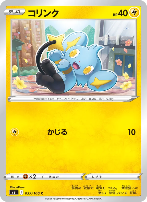 Shinx - Japanese Pokémon TCG Card | Dittobase