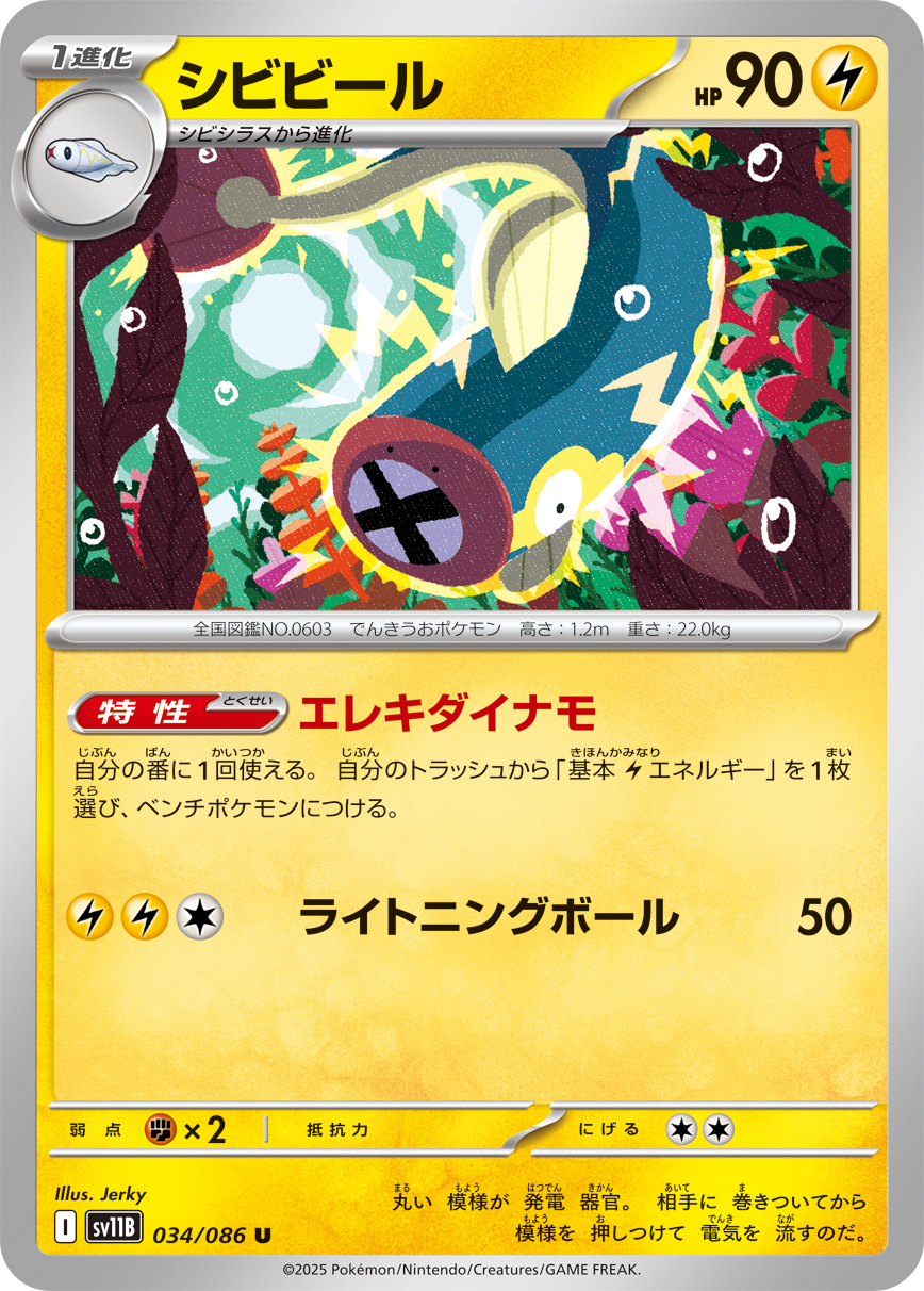 Zekrom ex