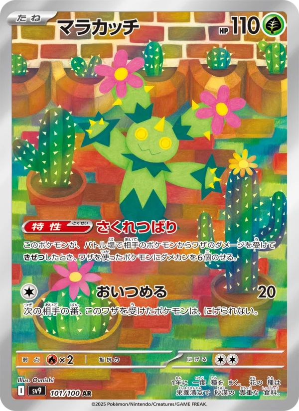 タケシのスカウト - Japanese Pokémon TCG Card | Dittobase