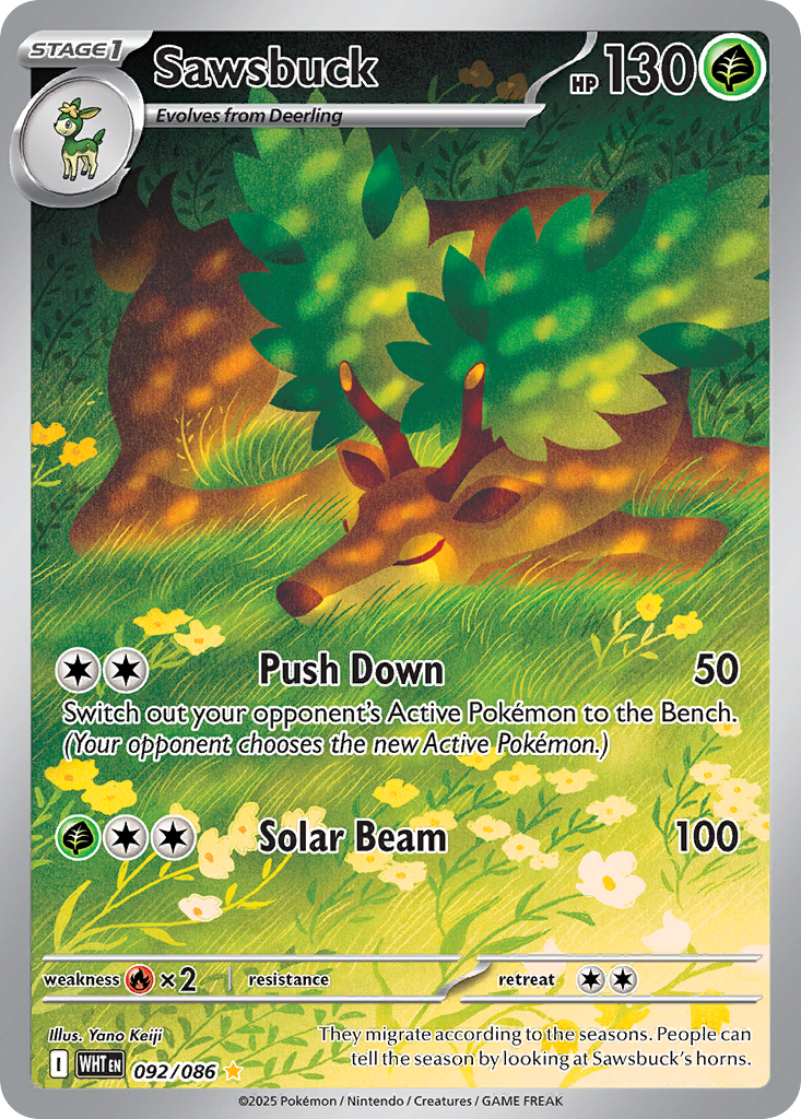 Sawsbuck