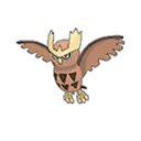 Noctowl