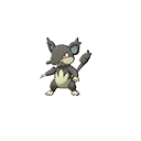 Rattata Alola