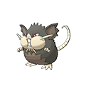Raticate Alola
