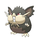Raticate Totem Alola